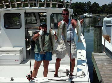 Neavitt Report Photo 1