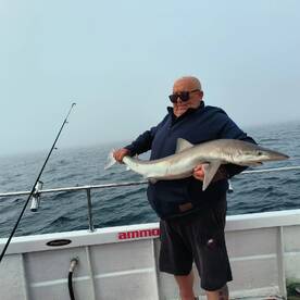 Great day on the sharks