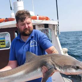 Shark fishing galore