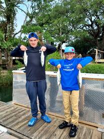 Murrells Inlet Report Photo 1