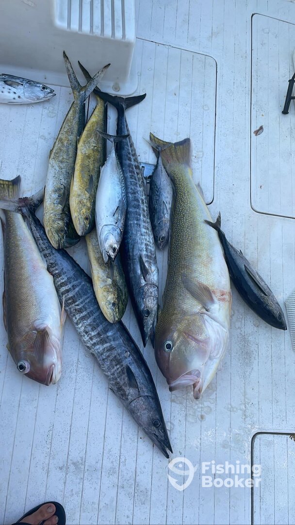 Fort Lauderdale Report Photo 0