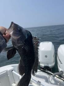 South Kingstown Report Photo 2
