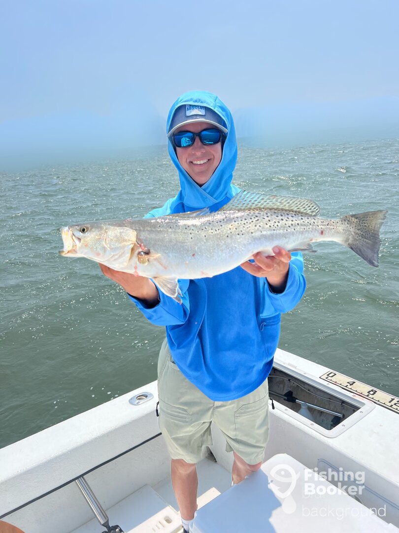 Manteo Report Photo 0