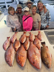 Pensacola Report Photo 1
