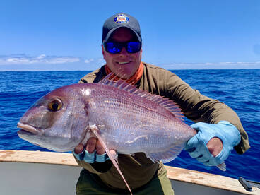 Calheta Report Photo 1