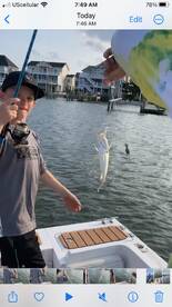 Wanchese Report Photo 2