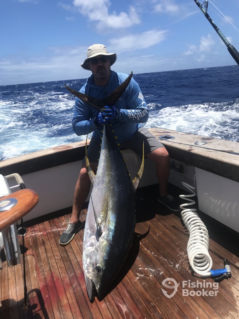 Haleiwa Report Photo 0