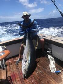 San Francisco Treat… 