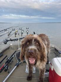 Oxford Report Photo 2