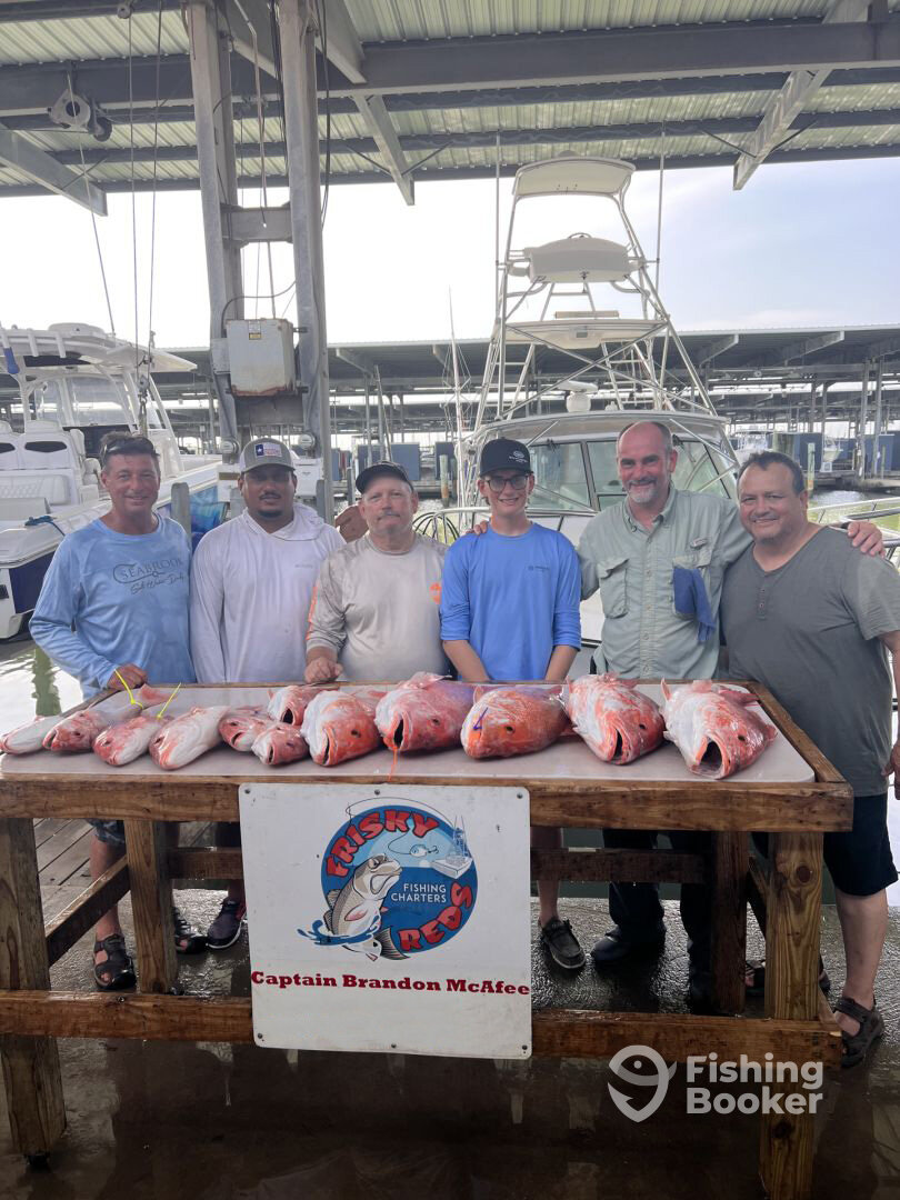 Galveston Report Photo 0