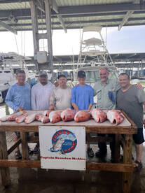Snapper Weekend!!! 