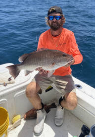 Mangrove Snapper Bite is Red Hot!