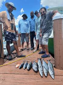 Dania Beach Report Photo 1