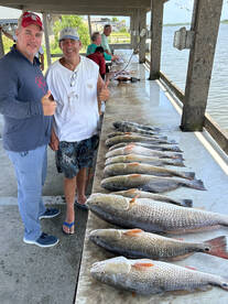 venice reds!!