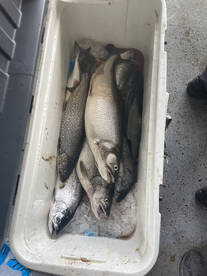Oak Creek Report Photo 1