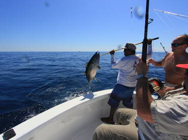 Quepos Report Photo 1