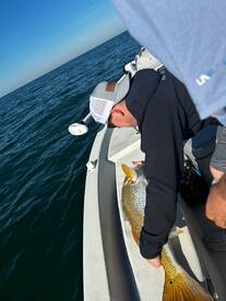 Bay Pines Report Photo 2