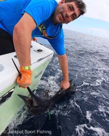 Quepos Report Photo 1