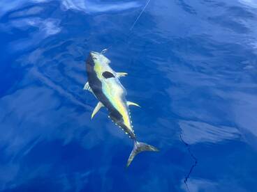 Paquera Report Photo 2