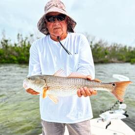 Bokeelia Report Photo 2