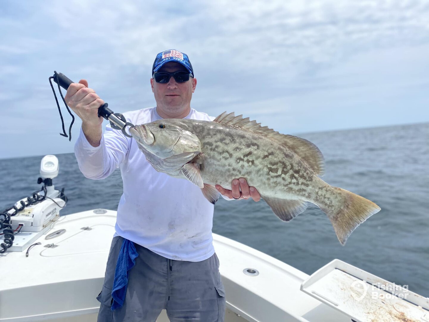 A fine Specimen of a nearshore gag grouper!
