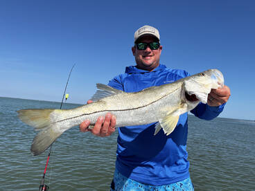 Snooks are going wild! 