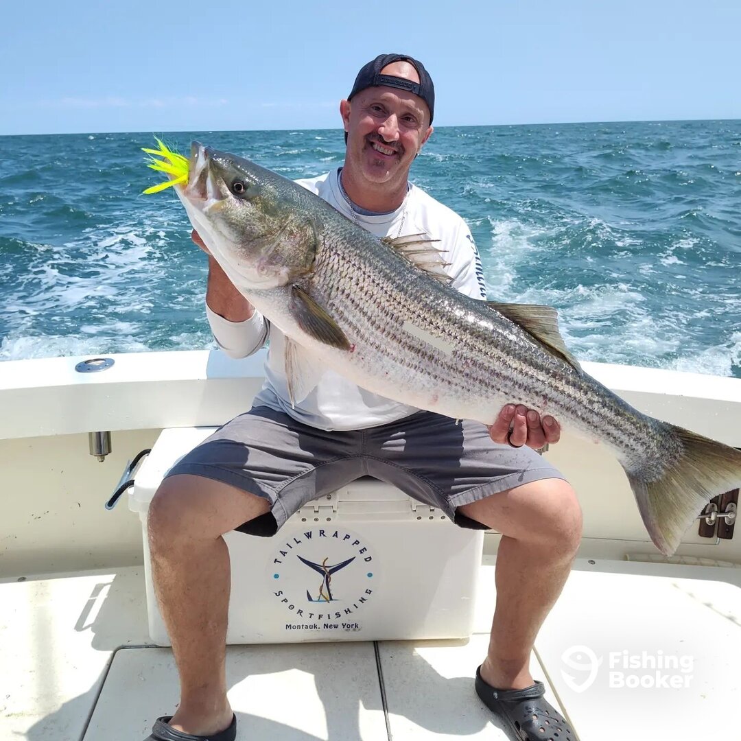 Montauk Report Photo 0