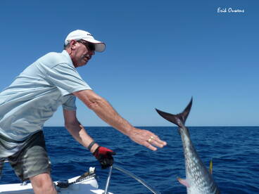 Riumar Report Photo 3