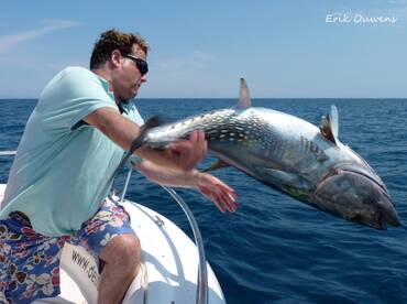 Great Days Fishing For Tuna