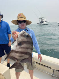 Virginia Beach Report Photo 2