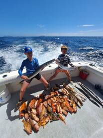 Coronado Island Action!