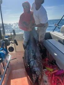 Bluefin 100-200 pounds are within overni