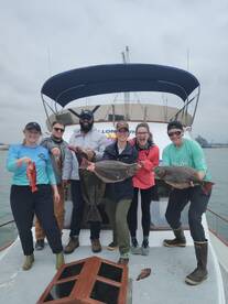 Halibut inshore halfday fishing is good 