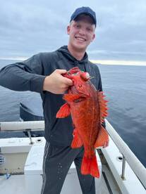 San Diego Report Photo 1