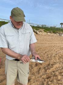 Flagler Beach Report Photo 1
