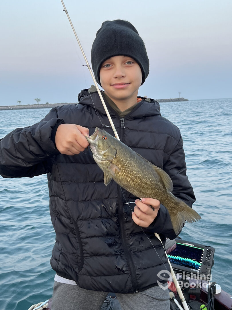 Buffalo Report Photo 0