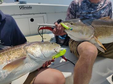 Its Red Drum Season!