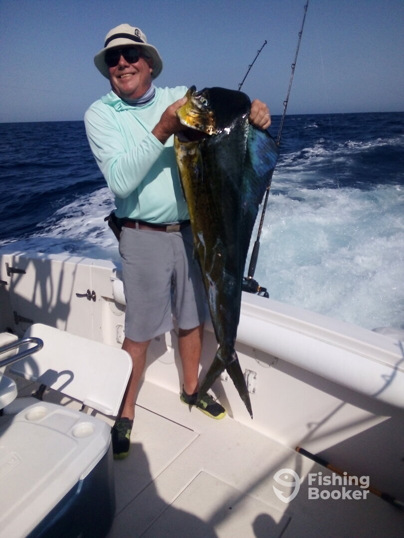 San Jose del Cabo Report Photo 0