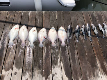 Rehoboth Beach Report Photo 2