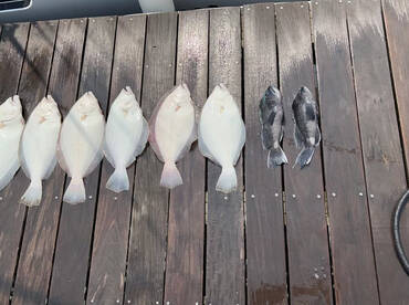 Week of June 11 2023