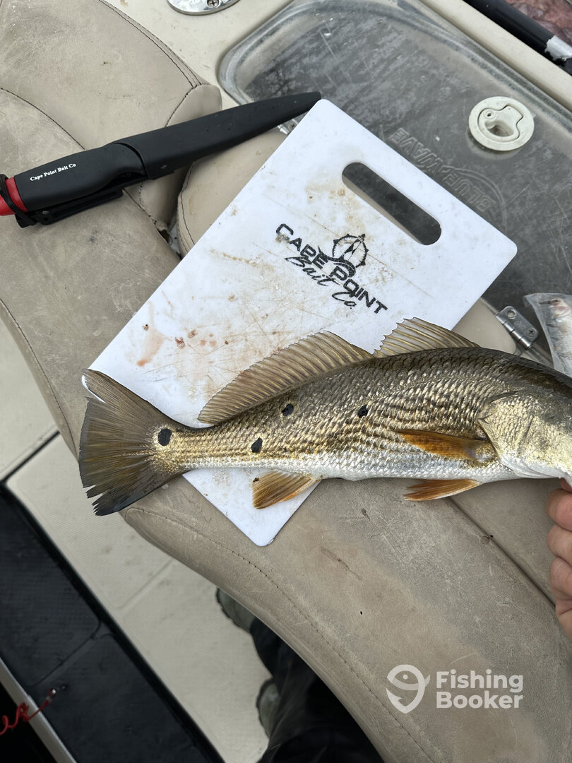New Bern Report Photo 0