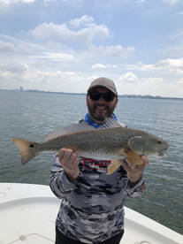 Belleair Bluffs Report Photo 1