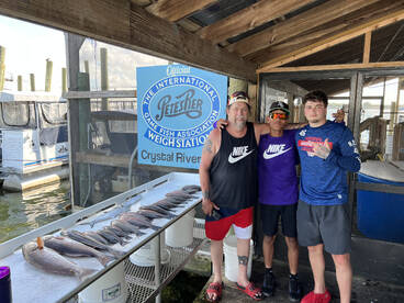 Crystal River Report Photo 2