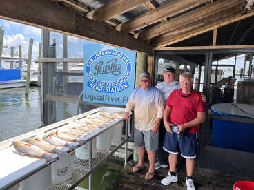 Mangrove snapper bite is fire 