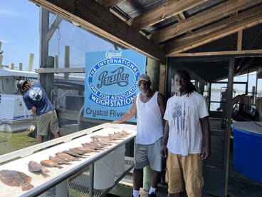 Crystal River Report Photo 1