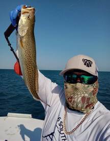 Port Isabel Report Photo 2