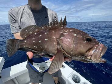 Quepos Report Photo 2