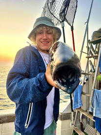 Algoma Report Photo 1