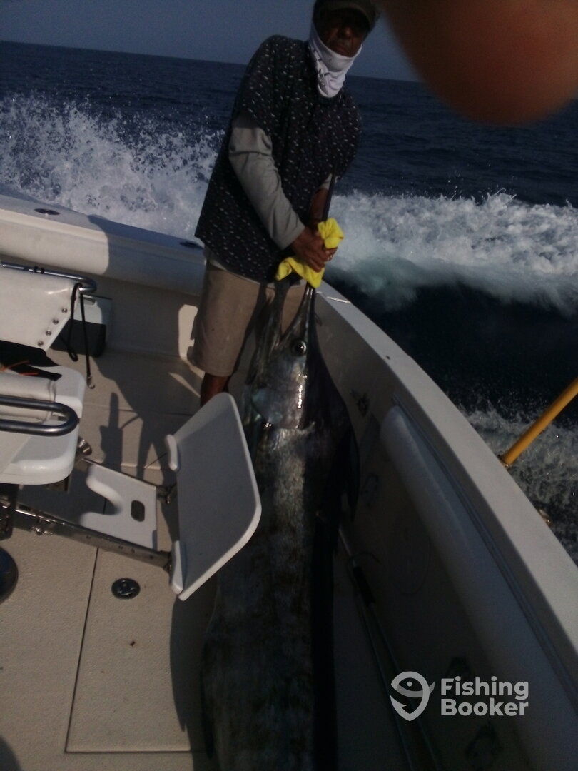 San Jose del Cabo Report Photo 0