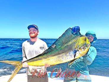 Cabo San Lucas Report Photo 2